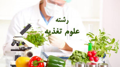 معرفی رشته علوم تغذیه، شاخه ها و بازار کار 14 رشته علوم تغذیه