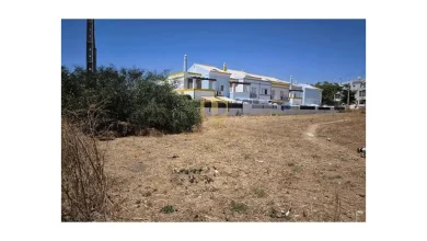 نحوه استفاده از زمینهای بلااستفاده به مکانهای مفید و پولساز 7 Unused land 1